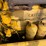 caterpillar-12-image-26
