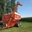 a&l-650-image-2