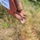 hesston-1091-image-6