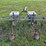 179---2-row-2-bin-planter-cultivator-image-5