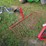 232---4'-spring-rake-image-3