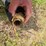 #26364-•-5'-brush-cutter-image-8