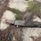 m&w-little-red-wagon-image-9