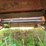 hesston-1091-image-19