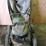 billy-goat,-model-kd512-vacuum,-5-horsepower-brigg-image-2