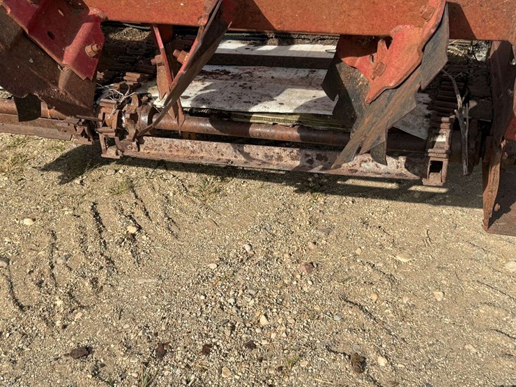 international-595-image-16