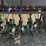 van-brunt-grain-drill-image-19