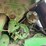 john-deere-9600-image-44