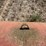 1,000-gallon-horizontal-fuel-tank-image-6