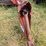 hesston-1091-image-7