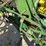 john-deere-290-image-18