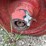 new-idea-521-image-21