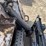 2003-bobcat-t300-image-10