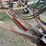 case-ih-55-image-15