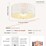 boho-coastal-ceiling-fan-with-light-and-remote-image-9
