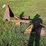 181---2-row-bottom-plow-image-3