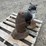 2--animal-targets-image-5
