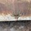 1,000-gallon-horizontal-fuel-tank-image-8