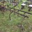 178---2-row-cultivator-image-4