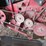case-ih-1020-image-8