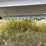2007-timpte-grain-trailer-image-14