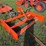 dirt-dog-grb72-image-3