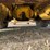 caterpillar-12-image-31