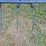 john-deere-2210-image-5