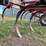 case-ih-55-image-21