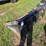 250---kubota-82"-severe-duty-bucket-image-3