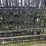 2026-20ft.-bi-parting-iron-gate-deer-style-image-2