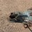 2010-dimond-c-flatbed--trailer-image-11