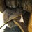 #50893-•-2018-caterpillar-563d-wheel-feller-buncher-4x4-cat0563dkd6300157-inv#50893-image-19