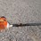 stihl-ht-101-pole-saw-image-9