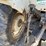 mitsubishi-mt250d-image-14