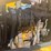 2006-deere-310g-image-23