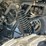 1996-kawasaki-bayou-300-image-47
