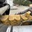 1995-kenworth-w900-image-41