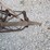 van-brunt-drill-image-7