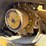 2021-caterpillar-259d3-image-9