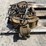 young-self-loader-hydraulic-grapples-image-3