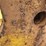 john-deere-2-image-2