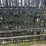 2026-20ft.-bi-parting-iron-gate-deer-style-image-1