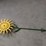 hand-crafted-flower-decor-image-2