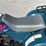 1996-kawasaki-bayou-300-image-10