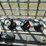 #50893-•-2018-caterpillar-563d-wheel-feller-buncher-4x4-cat0563dkd6300157-inv#50893-image-51