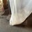 #53546-•-central-machinery-70gal-industrial-dust-collector-61790-inv#53546-image-14