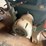#53500-•-north-field-band-saw-811998-j-inv#53500-image-23