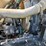 #25407-•-2005-volvo-vhd-quad-axle-dump-truck-image-75