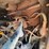 taylor-gt360-image-27